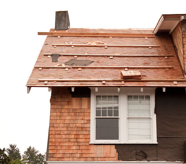 Affordable Siding Repair and Maintenance Services in Marshall, MO